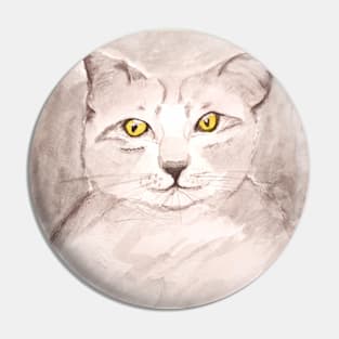 Gray Kitten Pin