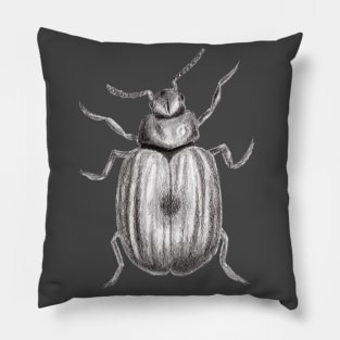 Realistic Beetle Bug Pencil Drawing Pillow
