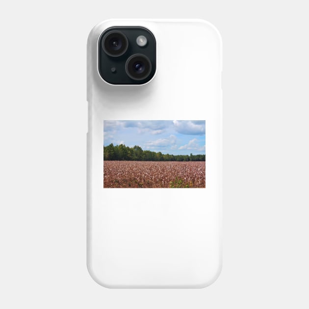 Field Of Cotton Balls Phone Case by Cynthia48