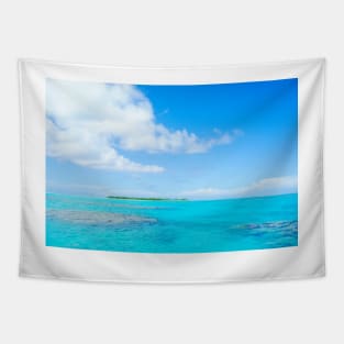 Tropical island lagoon. Tapestry