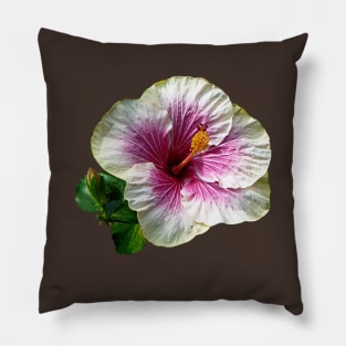 Hibiscus - Hibiscus Candy Striper Pillow