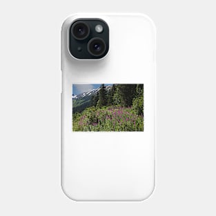 WGC_1398 Phone Case