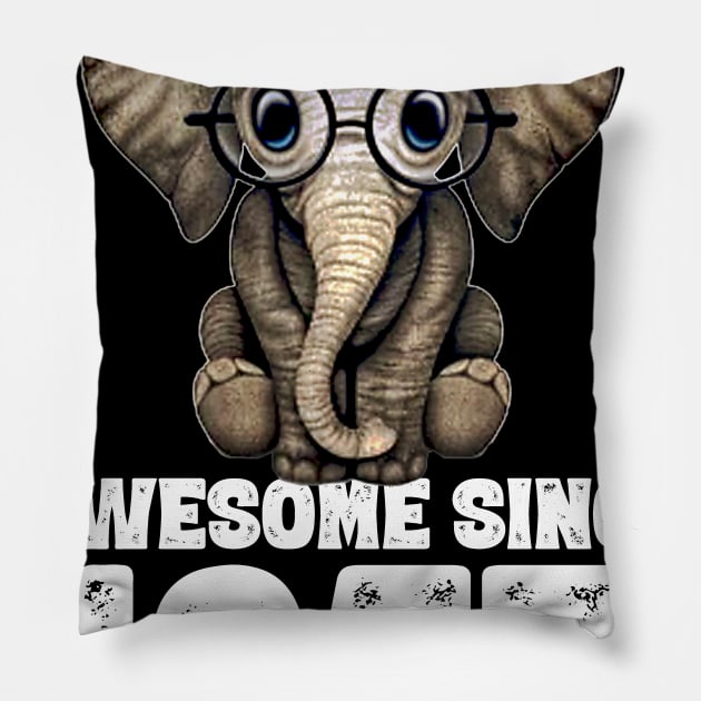 Awesome since 1957 63 Years Old Bday Gift 63th Birthday Pillow by DoorTees