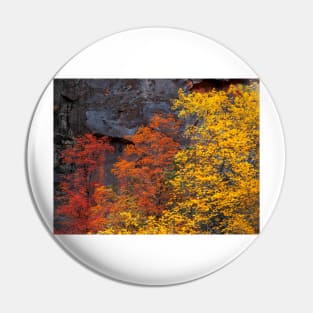 Zion Falls Colors Pin