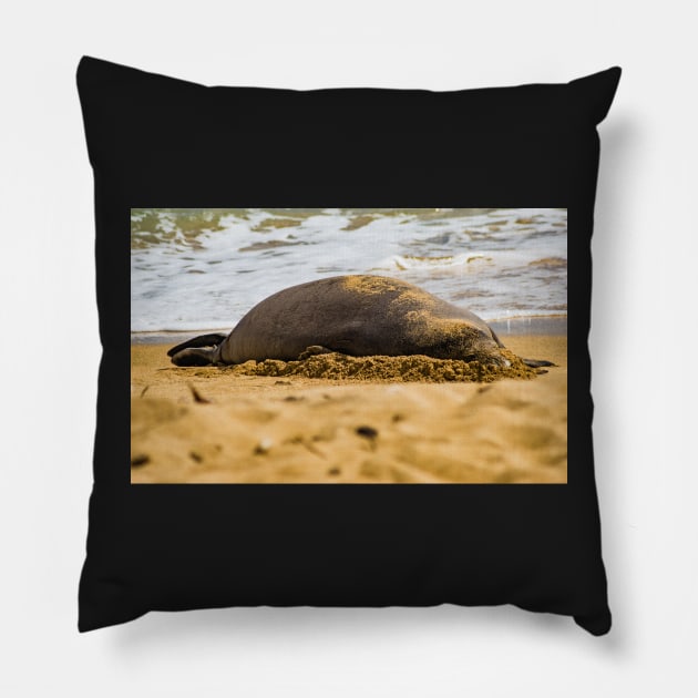 Monk seal 1 Pillow by KensLensDesigns