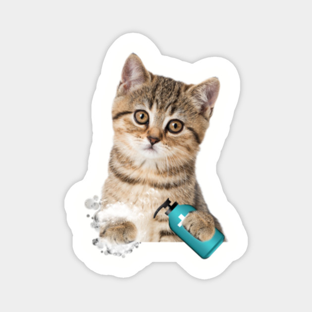 Funny Cat Lover Gift Best Cat Owner Gifts Ideas Cat Lover Mug