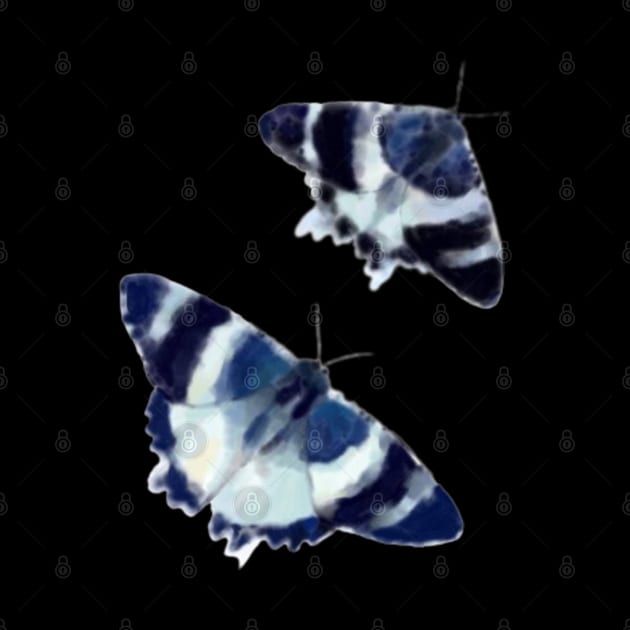 Tropical blue night moth by Clariisa