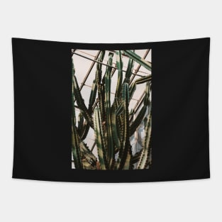 Greenhouse Cactus Tapestry