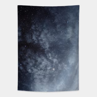 Blue veiled moon Tapestry