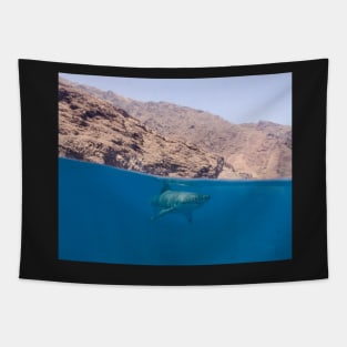 A Great White Shark Cruises the Surface at Guadalupe Island, Mexico Tapestry