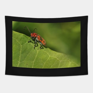 Red and black beetle on a leaf Tapestry