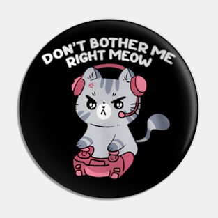 Bother Me Right , Video and Cat Pin