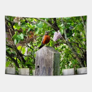 American Robin Standing On Top of a Post Tapestry