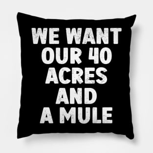 We Want Our 40 Acres And A Mule Pillow