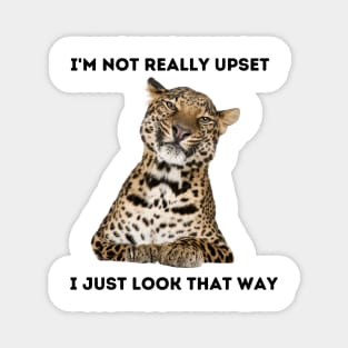 Angry Leopard in Denial Magnet