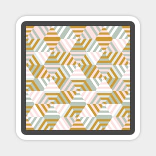 Retro Pastel Hexagons Magnet