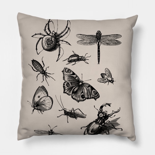 Dramabite Vintage retro scientific bugs insect collection entomologist Pillow by dramabite