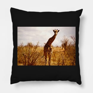 giraffe Pillow