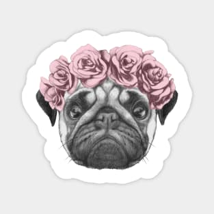 Rosie the pug with roses Magnet