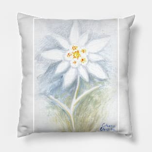 Leontopodium nivale or the  edelweiss flower Pillow