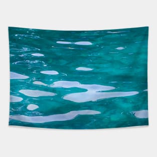 Blue Water Springs Florida Nature Tapestry