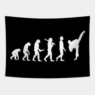 Funny Karate Evolution Gift For Karateka Tapestry