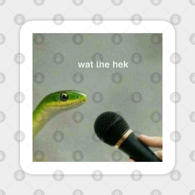 Snake What The Heck Funny Reaction Meme - Reaction Meme - Magnet | TeePublic Snake What The Heck Funny Reaction Meme - Reaction Meme - Magnet | TeePublic