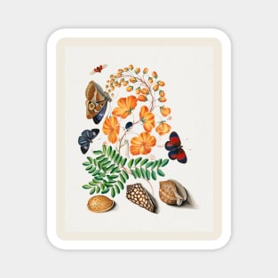 Flowers, beetles, butterflies, and shells vintage nature art Magnet