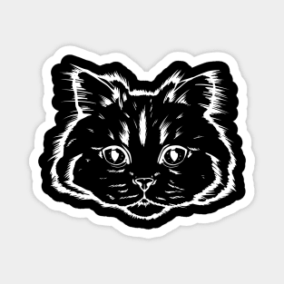 Siberian cat portrait Magnet