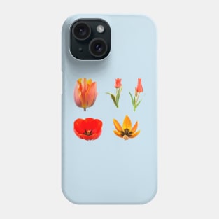 Tulips Phone Case