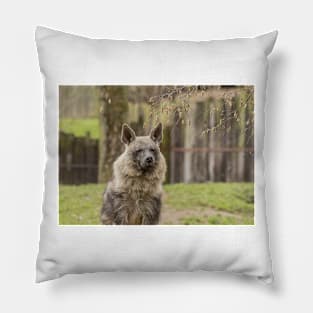 Brown Hyena Pillow