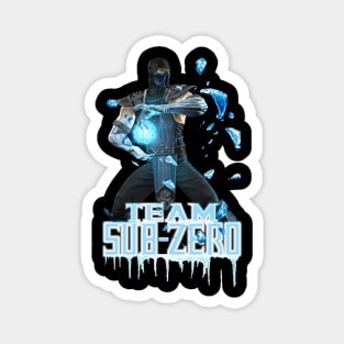 Team Sub-Zero Mortal Kombat Pro Kompetition Magnet