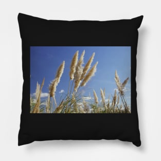 Pampas Grass - Reserva Ecologica Costanera Sur, Buenos Aries Pillow