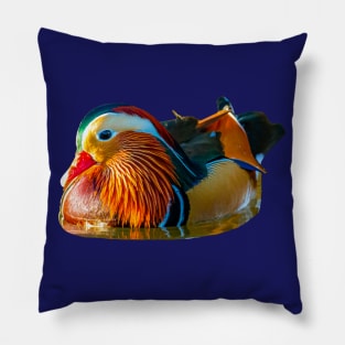 Mandarin magnificence Pillow