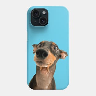 Funny Dog Look Phone Case