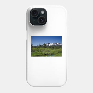 850_1833 Phone Case