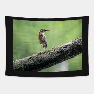 Green Heron Tapestry