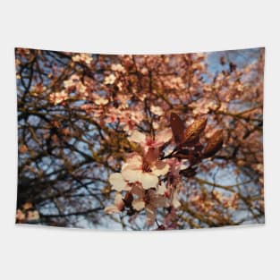 Cherry blossom flower Tapestry