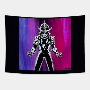 Nova the champion avenger Tapestry