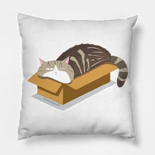 Cat relaxed in box Pillow