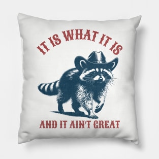 It is what it is and it ain't great - Raccoon Pillow