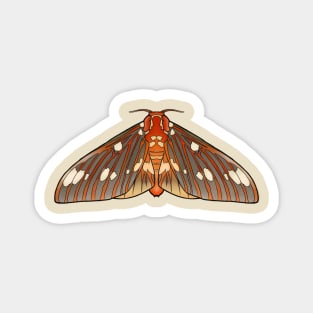 Royal walnut moth Magnet