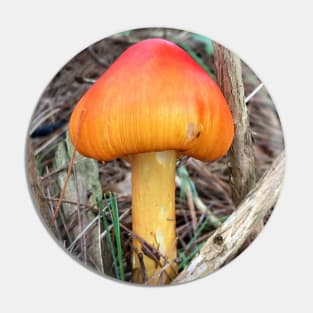 Mushroom Pin