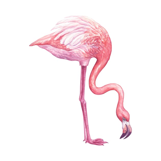 Flamingo 2 by katerinamk