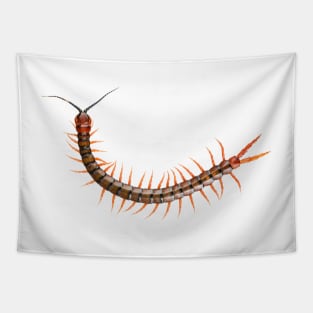 Giant Centipede Creepy Crawly Tapestry