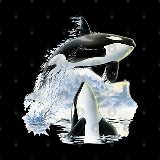 The Killer Whales by KA Creative Design