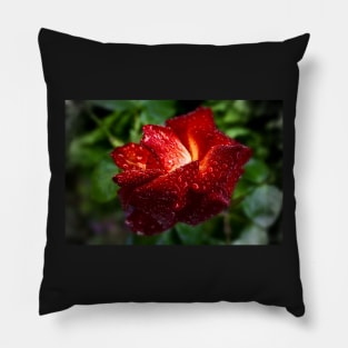 Raindrops on Roses Pillow