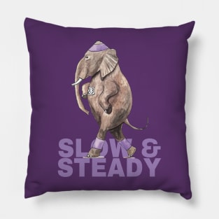 Slow & Steady Pillow