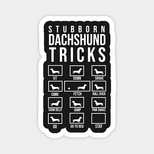 Stubborn dachshund tricks Magnet by Mesyo