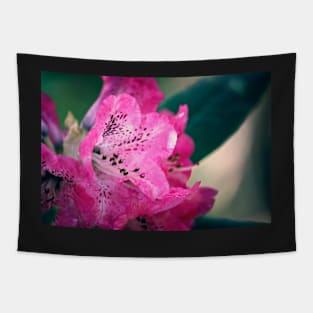 Pink Rhododendron Bloom Tapestry